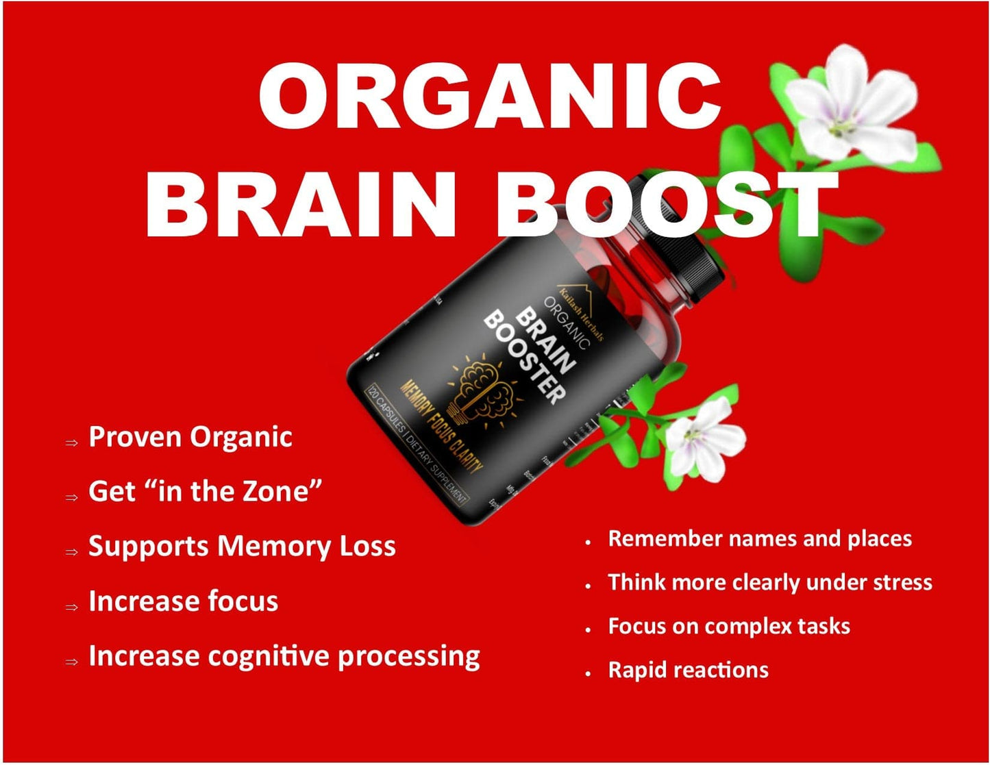 Organic Brain Booster, Nootropic Brain Supplement, Bacopa Monnieri/Brahmi, for Mental Sharpness, Focus, Memory, and Cognitive Wellness, 120 Capsules 500mg, 2 Month Supply
