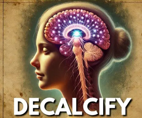 Top 6 Ways to Decalcify the Pineal Gland